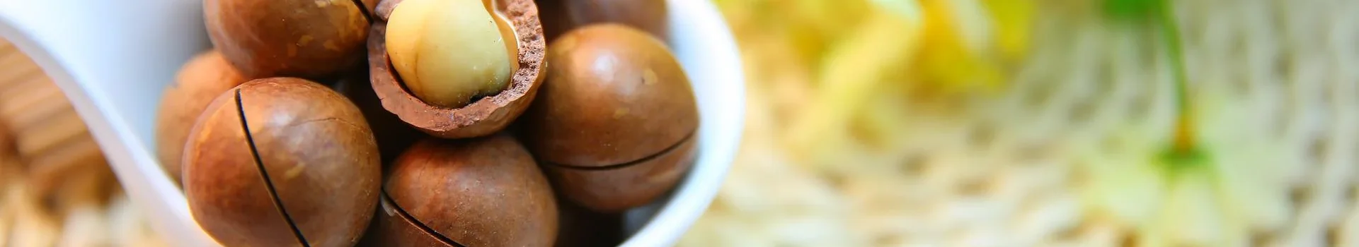 macadamia-nuts-gf31a91457_1920-788693 macadamia-nuts-gf31a91457_1920-788693